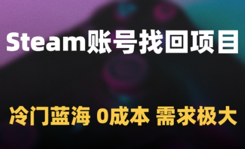 Steam账号找回项目，冷门蓝海，0成本，需求极大-路子网