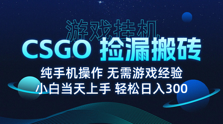 8月最新游戏搬砖，CSGO纯挂机，不需要玩游戏，实现真挂机，月入1W+-路子网