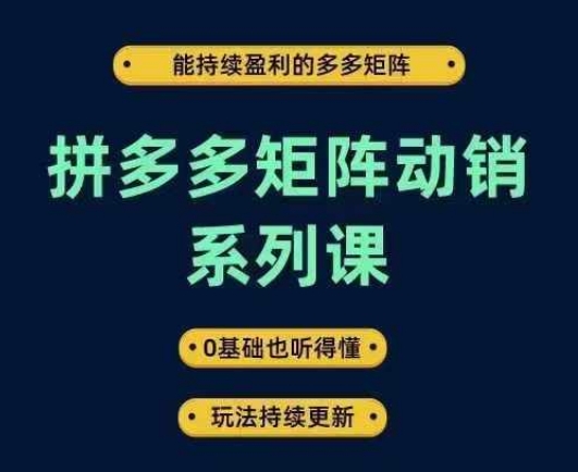 拼多多矩阵动销系列课，能持续盈利的多多矩阵，0基础也听得懂，玩法持续更新-路子网
