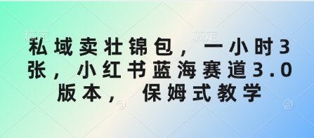 私域卖壮锦包，一小时3张，小红书蓝海赛道3.0版本， 保姆式教学-路子网