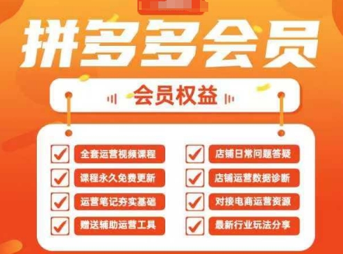 2025拼多多运营实战课，40节全流程教学，覆盖拼多多运营全链路-路子网