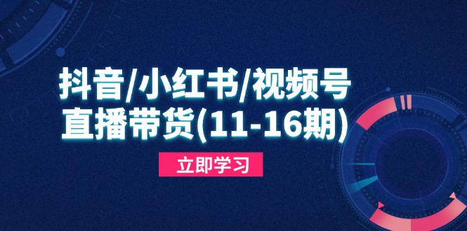 抖音/小红书/视频号/直播带货(11-16期-路子网
