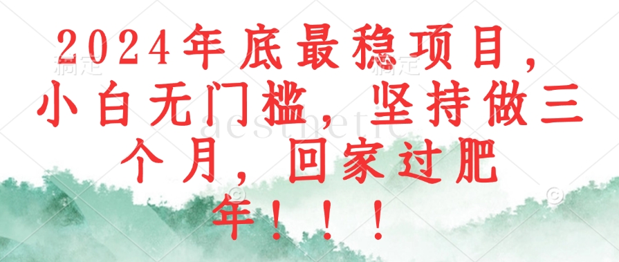2024年底最稳项目，小白无门槛，坚持做三个月，回家过肥年！！！-路子网