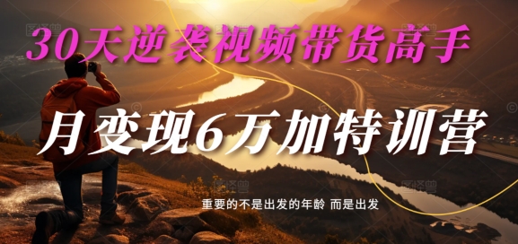 30天逆袭视频带货高手，单月变现6万加特训营-麦子甜-路子网