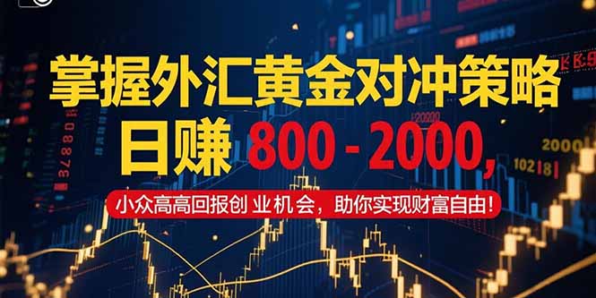 掌握外汇黄金对冲策略，日赚 800 – 2000，小众高回报创业机会，助你实…-路子网