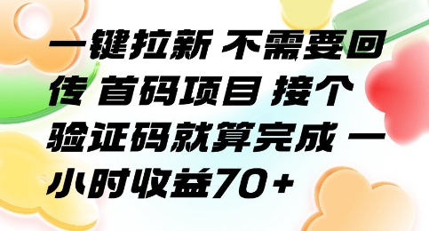 一键拉新 不需要回传 首码项目 接个验证码就算完成 一小时收益70+【揭秘】-路子网