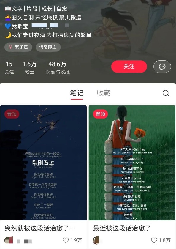 小红书治愈文案图文笔记，零门槛，一分钟制作轻松制作爆款作品月入万元-路子网