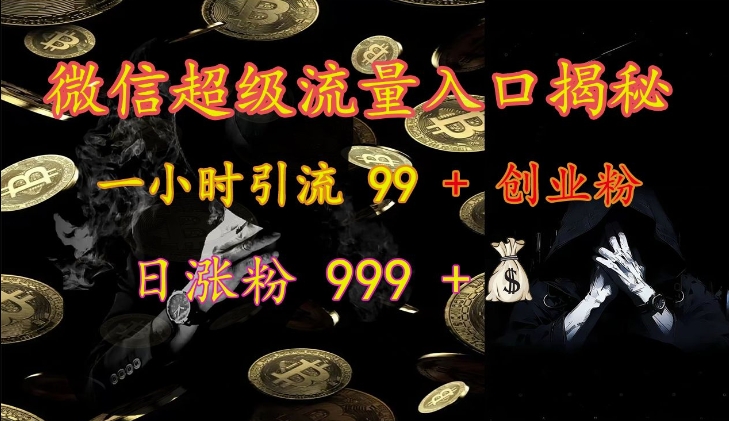 微信超级流量入口揭秘：一小时引流 99 + 创业粉，日涨粉 999 +-路子网