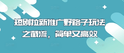 短剧拉新推广野路子玩法之截流，简单又高效-路子网
