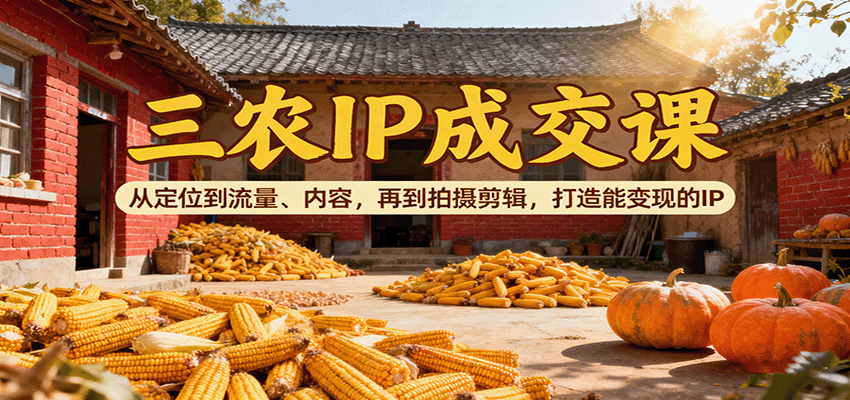 三农IP成交课：从定位到流量、内容，再到拍摄剪辑，打造能变现的IP-路子网