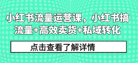 小红书流量运营课，小红书搞流量+高效卖货+私域转化-路子网