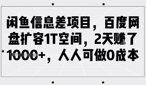 闲鱼信息差项目，百度网盘扩容1T空间，2天收益1k+，人人可做0成本-路子网