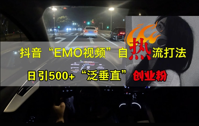 抖音EMO视频自热打法，日引500+“泛垂直”创业粉-路子网
