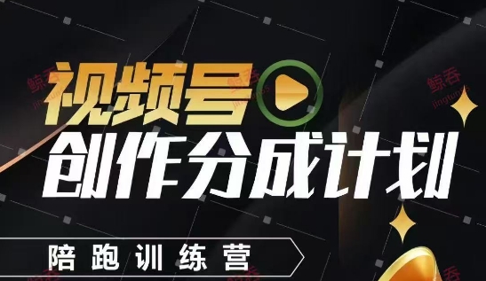 视频号创作分成计划陪跑训练营，手把手教会你如何制作视频，细水长流型项目-路子网