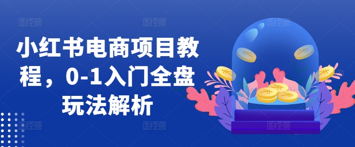 小红书电商项目教程，0-1入门全盘玩法解析-路子网