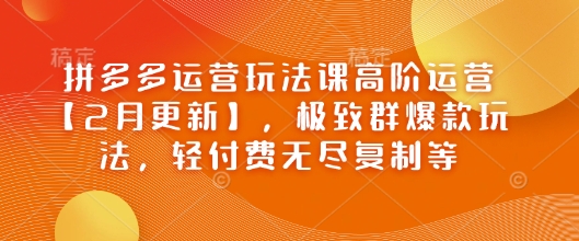 拼多多运营玩法课高阶运营【2月更新】，极致群爆款玩法，轻付费无尽复制等-路子网