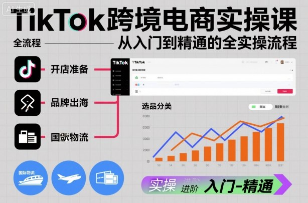 TikTok跨境电商实操课，从入门到精通的全实操流程-路子网