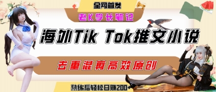海外tiktok小说推文暴力项目，高停留率，高转化率，上手后一天搞顿饭钱不是问题-路子网