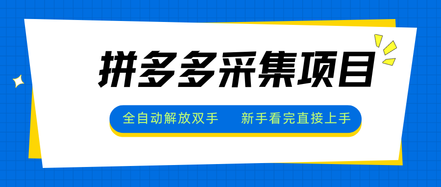 拼多多采集项目，全自动解放双手，单号日入30+-路子网