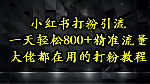 小红书打粉引流，一天轻松500+精准流量，大佬都在用的打粉教程-路子网