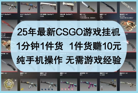 25年最新CSGO游戏挂G，1分钟1件货，1件货挣10元，纯手机操作，无需游戏经验【揭秘】-路子网