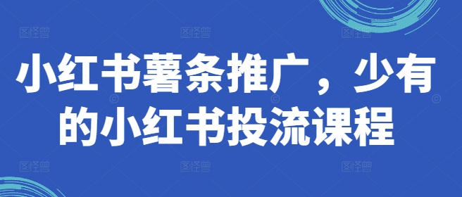 小红书薯条推广，少有的小红书投流课程-路子网