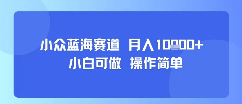 小众蓝海赛道，小白可做，操作简单，每天30分钟，月入1W+-路子网