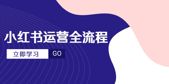 小红书运营全流程，爆款选题文案，视频制作技巧，进阶达人宝典-路子网
