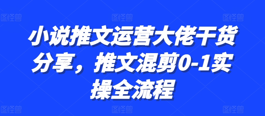 小说推文运营大佬干货分享，推文混剪0-1实操全流程-路子网