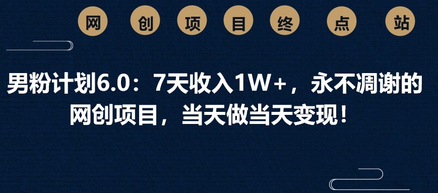 男粉计划6.0：7天收入1W+，永不凋谢的网创项目，当天做当天变现！-路子网