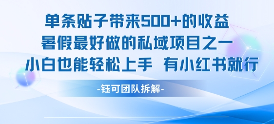 单条贴子带来5张的收益，暑假最好做的私域项目之一，小白也能轻松上手，有小红书就行-路子网