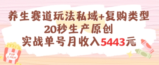 养生赛道玩法私域+复购类型，20秒生产原创实战单号月收入5k+-路子网