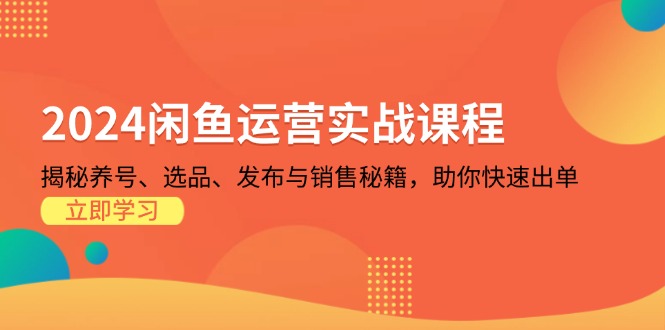 2024闲鱼运营实战课程：揭秘养号、选品、发布与销售秘籍，助你快速出单-路子网