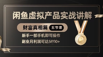 精品！闲鱼虚拟产品实战讲解，新手一部手机即可操作，副业月利润可达5k+-路子网