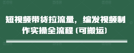 短视频带货拉流量，编发视频制作实操全流程(可搬运)-路子网