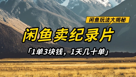 闲鱼卖纪录片1单3块钱，1天几十单，项目稳定有潜力-路子网