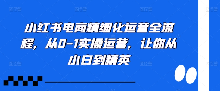 小红书电商精细化运营全流程，从0-1实操运营，让你从小白到精英-路子网