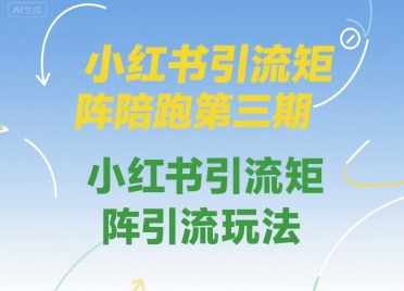 小红书引流矩阵陪跑第三期，小红书引流矩阵引流玩法-路子网