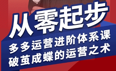 拼多多运营进阶系统课，从零起步，多多运营进阶体系课，破茧成蝶的运营之术-路子网