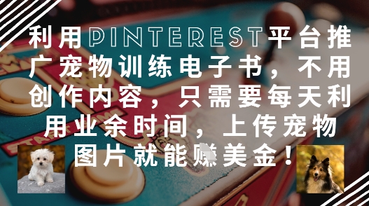 利用Pinterest平台推广宠物训练电子书，不用创作内容，只需要每天利用业余时间，上传宠物图片就能挣美金!-路子网