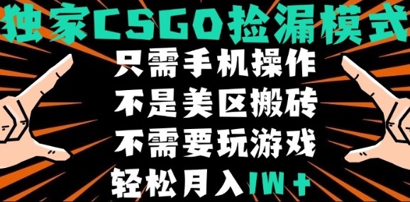 CSGO自动捡漏项目，最新独家玩法，不是美区搬砖，不需要了解和玩游戏，新手小白轻松月入1W+【揭秘】-路子网