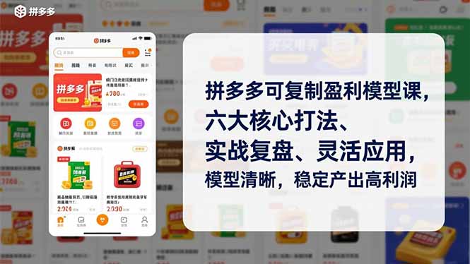 拼多多可复制盈利模型课,六大核心打法、实战复盘、灵活应用,模型清晰,稳定产出高利润-路子网