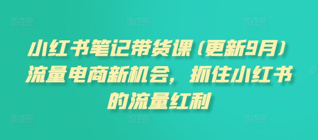 小红书笔记带货课(更新25年6月)流量电商新机会，抓住小红书的流量红利-路子网