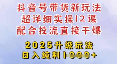 2025全新升级抖音带货玩法，一天纯利四位数，从剪辑到选品再到发布投流，超详细玩法揭秘-路子网