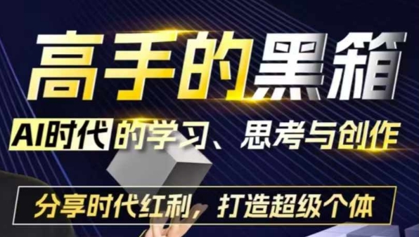高手的黑箱：AI时代学习、思考与创作-分红时代红利，打造超级个体-路子网