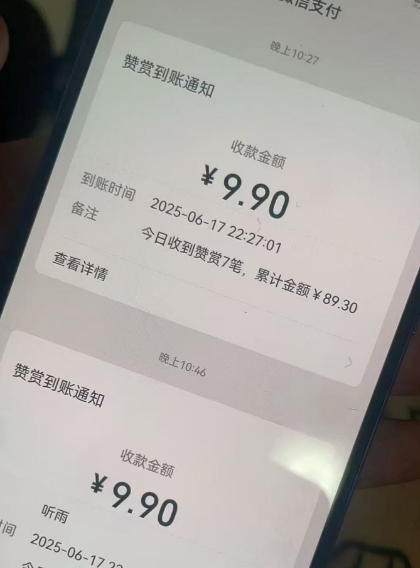 二次元男粉快速变现项目，私域卖虚拟产品，百分利润-路子网