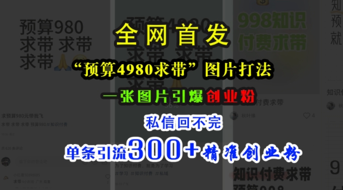 小红书“预算4980带我飞”图片打法，一张图片引爆创业粉，私信回不完，单条引流300+精准创业粉-路子网