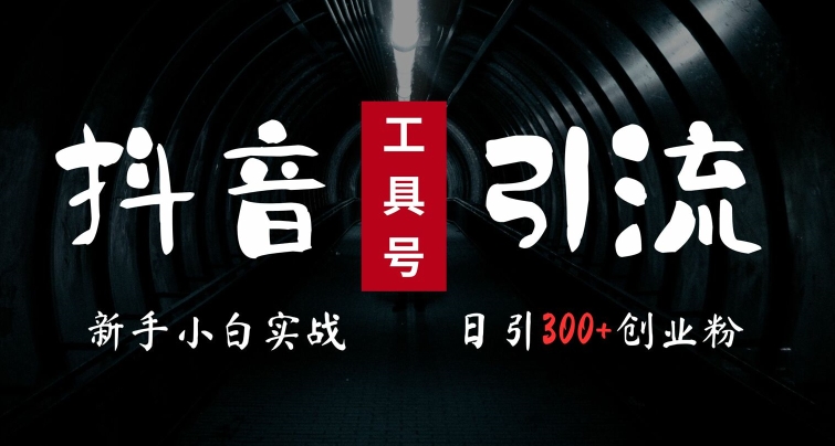 2024最新抖音工具号引流玩法，高效日引300+创业粉，当天变现5k，小白也可成为实战高手-路子网