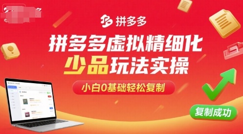 拼多多虚拟精细化少品玩法实操，小白0基础轻松复制-路子网