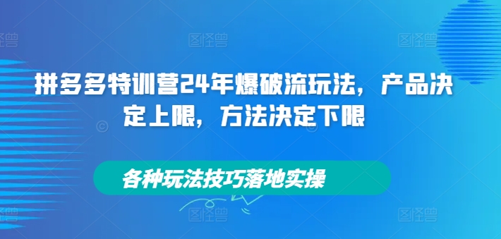 拼多多特训营24年爆破流玩法，产品决定上限，方法决定下限，各种玩法技巧落地实操-路子网